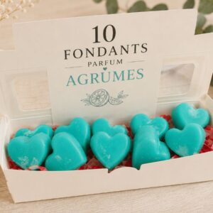 box 10 fondants parfumés Agrume – cire de soja