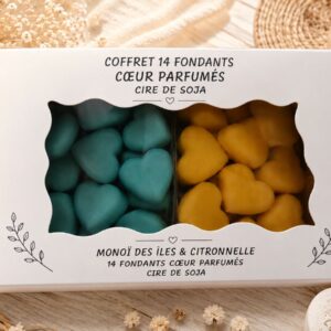 Coffret 14 fondants cœur parfumés en cire de soja – Monoï des Îles & Citronnelle