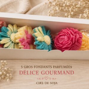 5 gros fondants parfumés Délice Gourmand – Cire de soja
